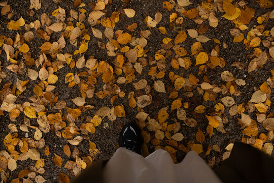 Top view of shoes on autumn leaf covered ground