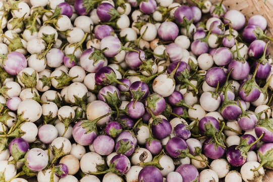 Thai eggplant at traditional vegetable market in Vietnam