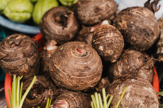 Fresh taro root for sale at vietnamese local market