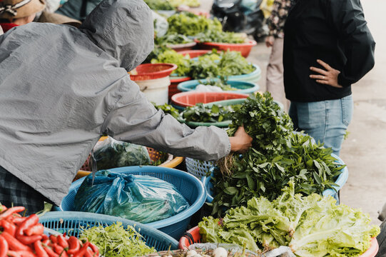 Vendor select fresh herb at Vietnam open-air market