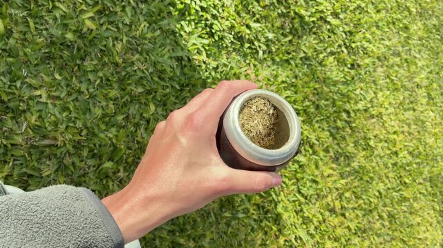 Traditional Argentine Mate Tea Infusion Warm Drink Lifestyle Scene on the Garden a Spring Day, Latin America Heritage, Uruguay Paraguay and Brazil typical social beverage
