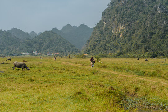 Cyclist crossing rural valley in Viet Hai Village, Vietnam