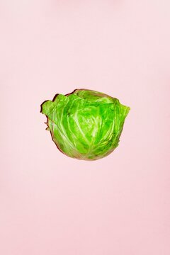 Fresh green lettuce on pastel pink background