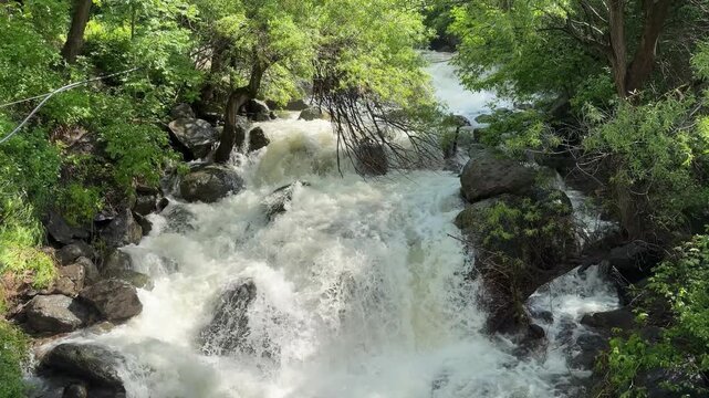 Mountain river flowing through a lush summer landscape, clear water surrounded by green vegetation and rugged nature