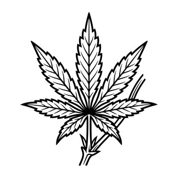 Cannabis leaf illustration black and white line art.