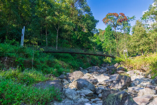 An old bridge leading to Suntanekhalo, built over river Murti - Jhalong, Dooars, West Bengal, India.