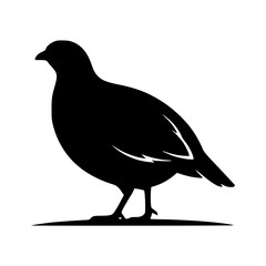 Fototapeta premium Standing pigeon silhouette vector illustration