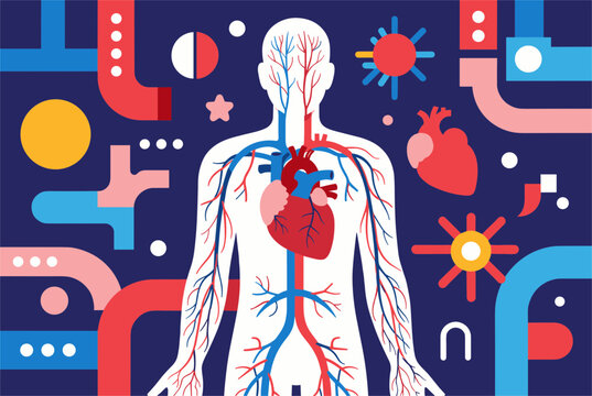 Stylized human silhouette displaying the complex network of the circulatory system with the heart and blood vessels against a dark background.