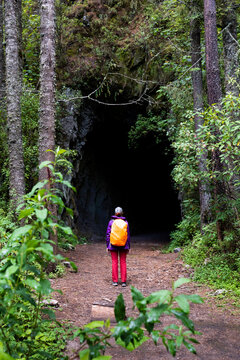 Hiker with backpack at forest tunnel entrance