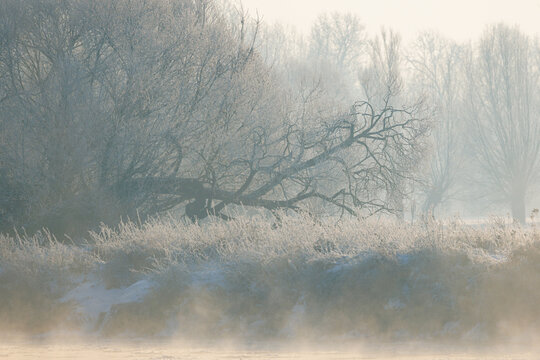 View of frost-covered trees and misty landscape during a very cold winter in Poland.