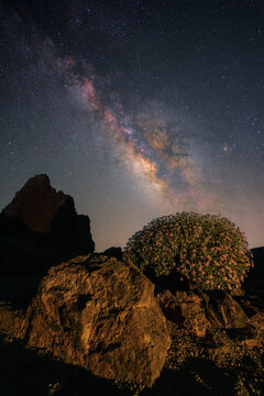 View of Minas de San Jose under the Milky Way galaxy with volcanic rocks and desert vegetation in La Orotava, Canary Islands, Spain.