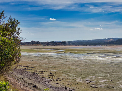 Scenic Low Tide View Across the Exe Estuary Near Exmouth in Devon