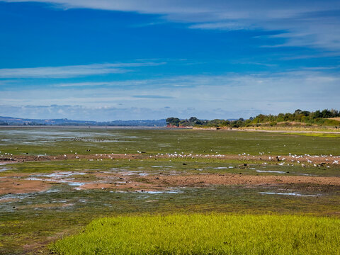 Scenic Low Tide View Across the Exe Estuary Near Exmouth in Devon