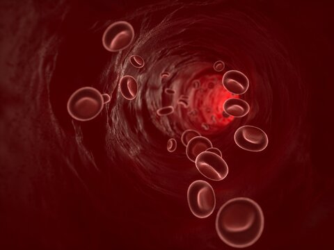 Red blood cells flow through a human artery