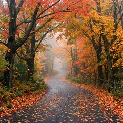 Naklejka premium Winding Country Road in Misty Autumn Forest with Fallen Leaves.