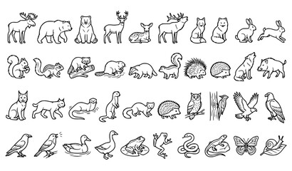 Obraz premium Forest Animals Line Art Set, Woodland Moose, Bear, Deer, Fox, Rabbit, Squirrel and Owl Vector Collection
