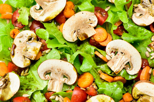 Frischer mediterraner italienischer Salat mit Pilze und Tomaten