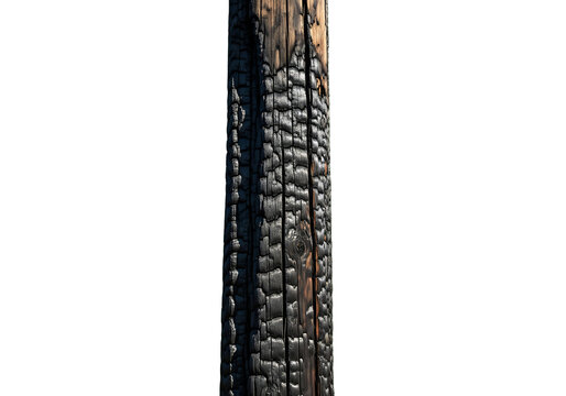 Charred wooden post with burnt texture isolated on white background