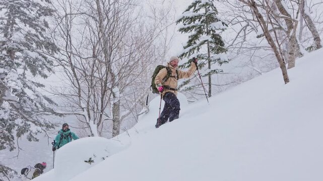Splitboarder hiking uphill in a snowy japanese winter forest