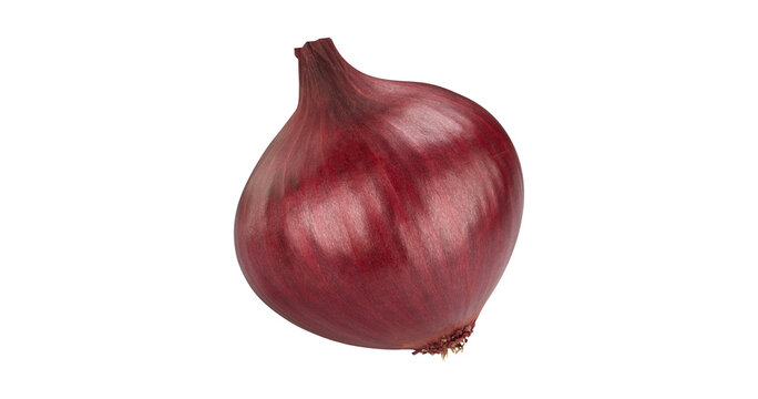 Fresh red onion bulb with dry skin and roots healthy vegetable food isolated on transparent background png.