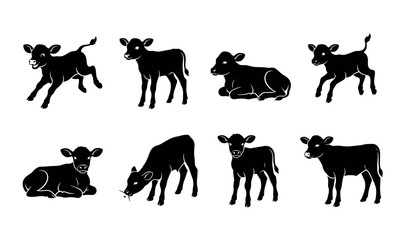 Fototapeta premium Cute Baby Cow and Calf Silhouette Set Featuring Various Poses Like Running, Standing, Sitting, and Grazing for Farm and Livestock Graphic Designs