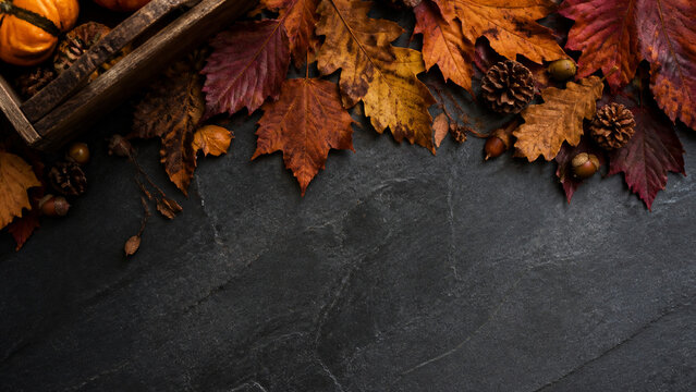 Autumn leaves on slate