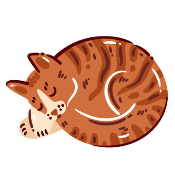 Sleeping Cat Cozy Cartoon