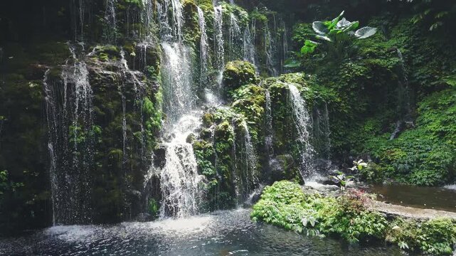 Cascade waterfall with natural pool and lush plants. Banyu Wana Amertha Waterfall in Bali.