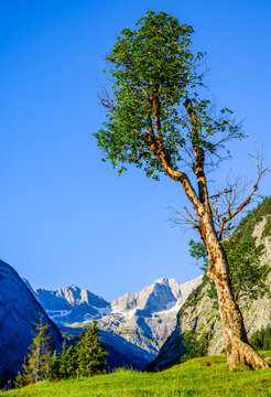 famous valley in austria - alpe eng