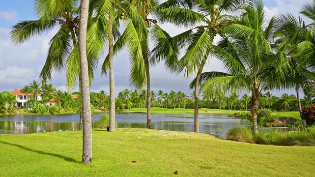 Beautiful palm trees on a golf course under a blue sky with a lake in the background. A peaceful outdoor sports atmosphere. Picturesque green grass. Lush green tree branches in the foreground.