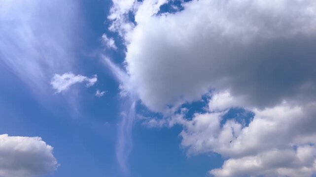 Large white cloud moves across vivid blue sky on sunny day