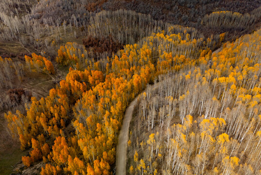 Kolob Autumn Colors