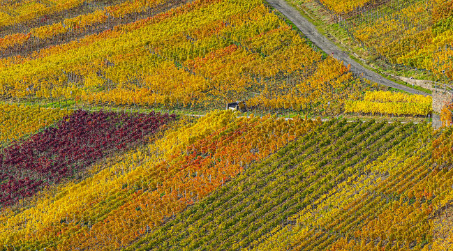  farben in ahrtal