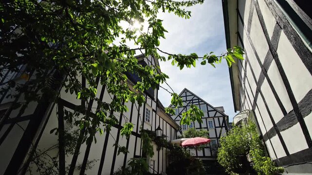 Sunlit Half-Timbered Houses Framed by Leafy Branches