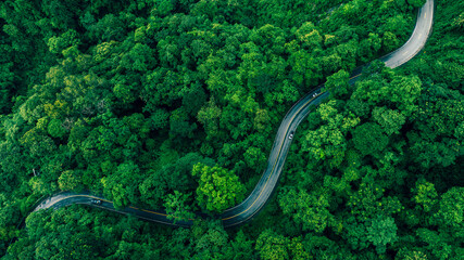 Fototapeta premium Aerial Tropical Forest Road for Sustainability Report and Green Infrastructure