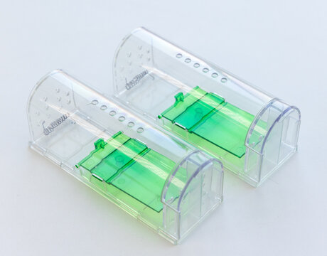 Two clear plastic humane mouse traps with green parts on white