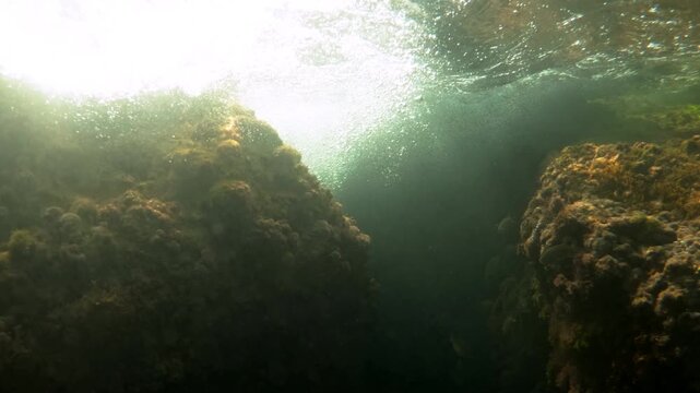 Underwater view of an ocean reef showing sunrays penetrating the surface, illuminating algae covered rocks and creating a peaceful marine scene