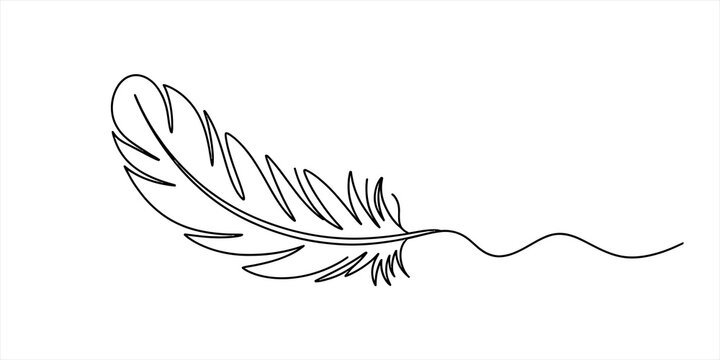 Single continuous line drawing of a bird feather