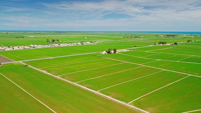 Aerial view of green rice paddies near Mediterranean coastline in Ebro Delta, Spain. Geometric agricultural fields, irrigation roads and fertile farmland 