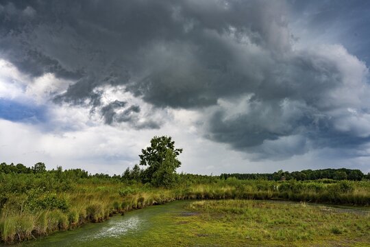 Thunderstorm over Goldenstedter Moor, clouds, weather, Goldenstedt, Lower Saxony, Germany