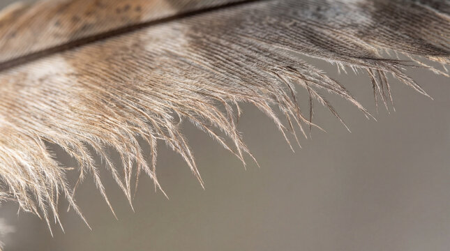 Hedgehog grooming in bakery, detailed natural wildlife closeup showing animal welfare, responsible care, wellbeing, humane values, education, community awareness, supporting responsible care education