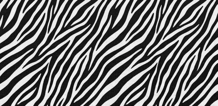 Black and white zebra skin striped animal print texture background