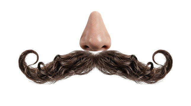 A realistic human nose with a large, curled brown handlebar mustache isolated on transparent background