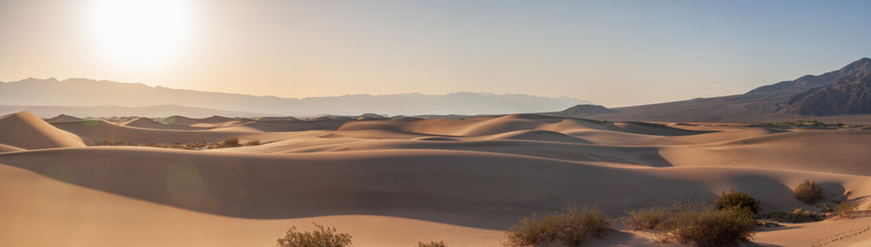 Beautiful wide panorama of Mesquite Flat Sand Dunes at golden sunrise in Death Valley