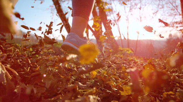 LENS FLARE, SLOW MOTION, DOF, LOW ANGLE, CLOSE UP: Female runner moves through fallen autumn leaves while warm sunlight shines across the forest floor. Jogging amid flying dry leaves in fall season.