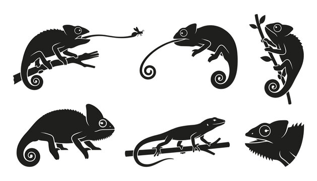Black Chameleon and Lizard Silhouette Vector Icon Set Featuring Exotic Reptiles Climbing Branches Catching Insects with Long Tongues for Silhouette Cutting Crafts
