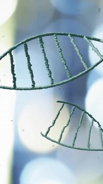 DNA strands animation over blurred lights background