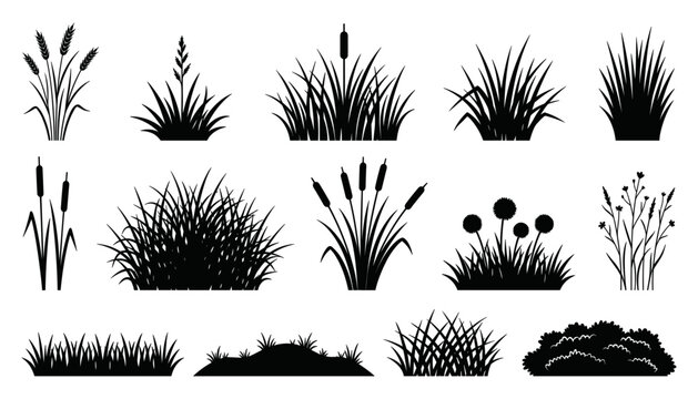Black Grass and Reed Silhouette Vector Set with Cattails Wild Flowers and Meadow Tuft Elements for Landscape Silhouette Art and Outdoor Nature Designs