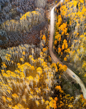 Kolob Autumn Colors