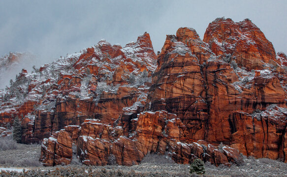 Snowy Zion